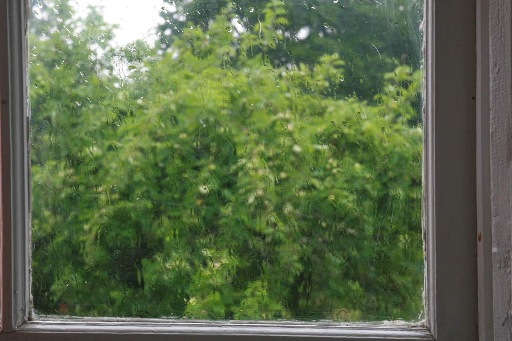Even more rain